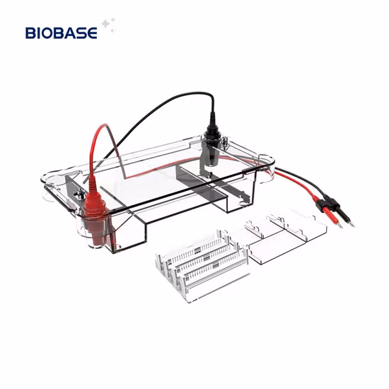Máquina de eletroforese de DNA de laboratório para proteínas